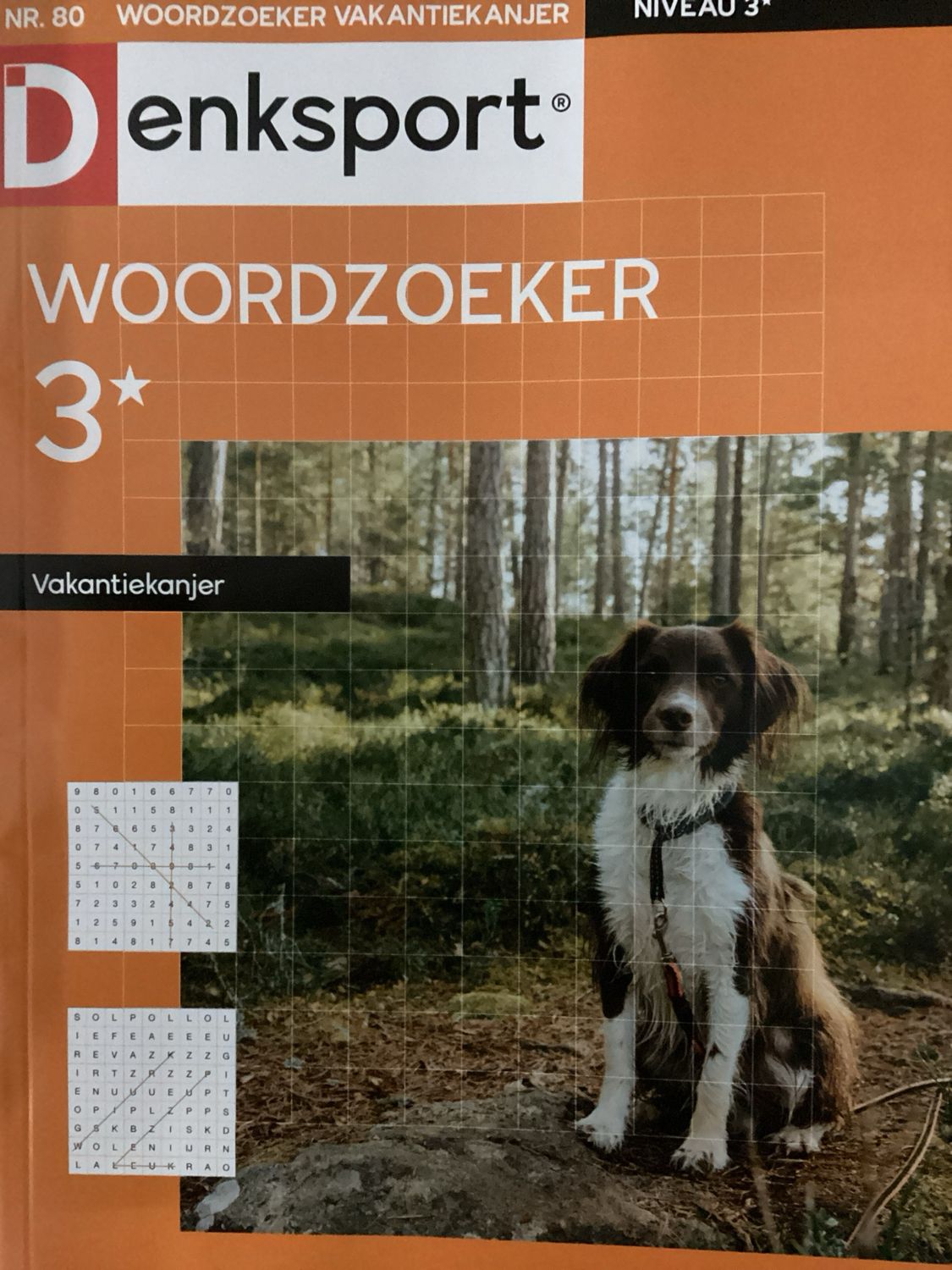 DS WOORDZOEKER VAK.KANJER #80