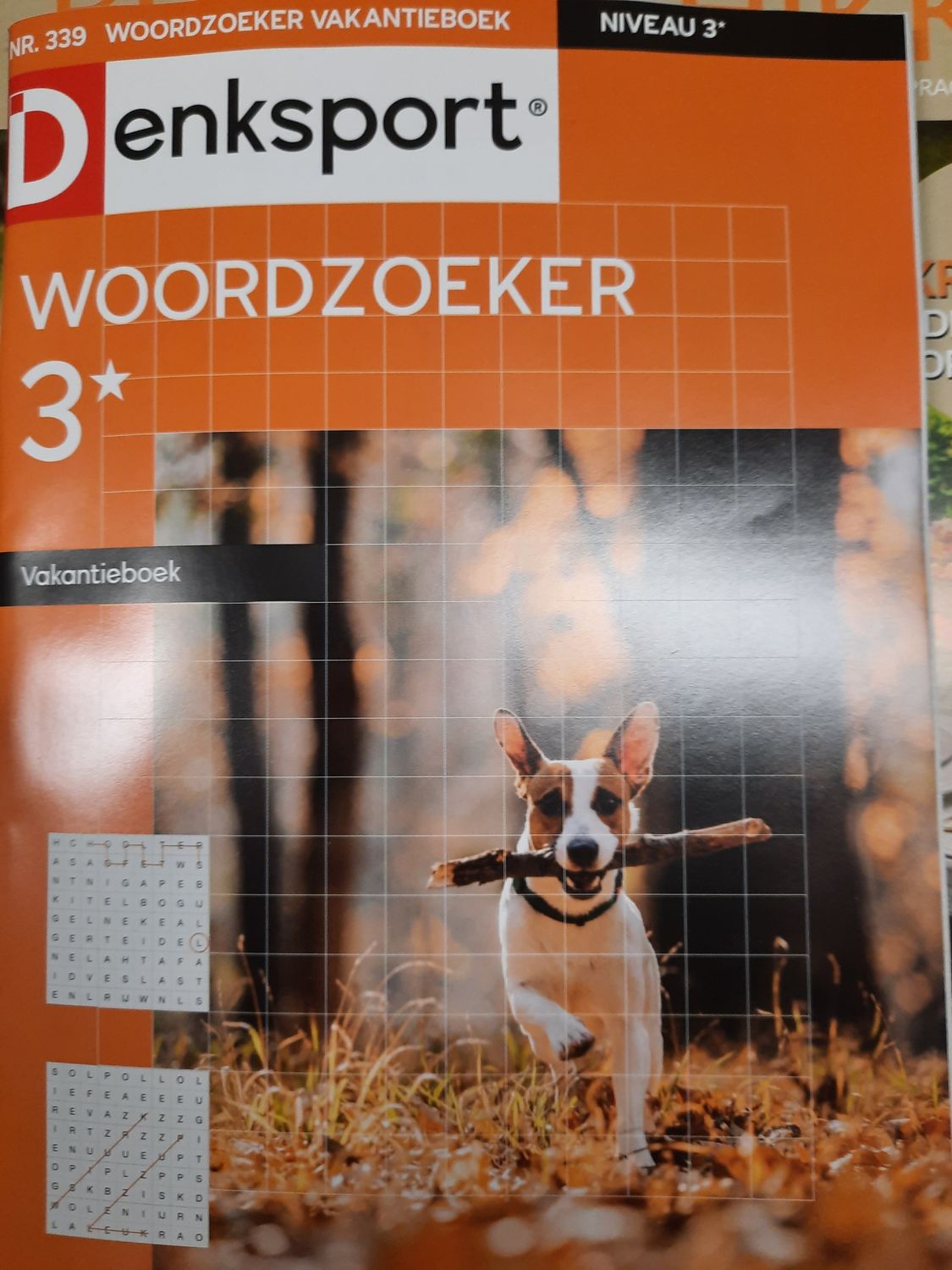 DS WOORDZOEKER VAKANTIEBO #339