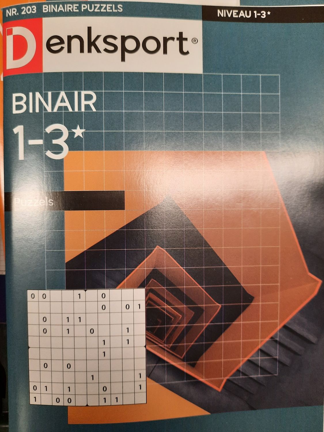 DS BINAIRE PUZZELS #203