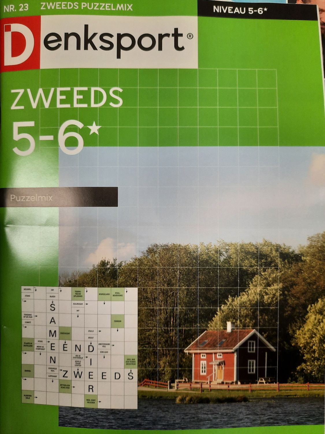 DS ZWEEDS 5-6 PUZZELMIX #23
