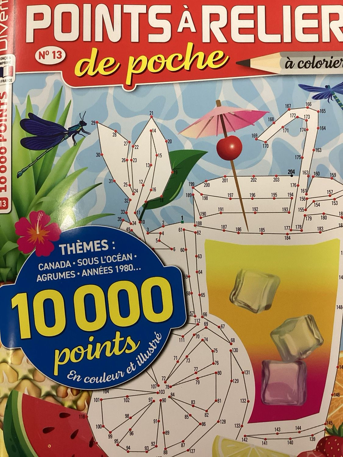 POINTS A RELIER DE POCHE #13