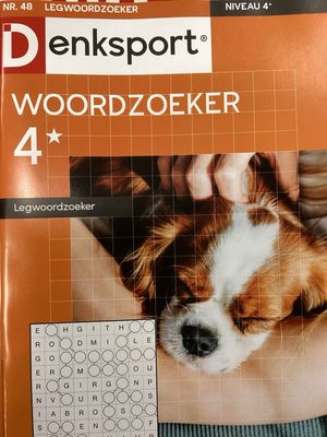 DS LEGWOORDZOEKER #48