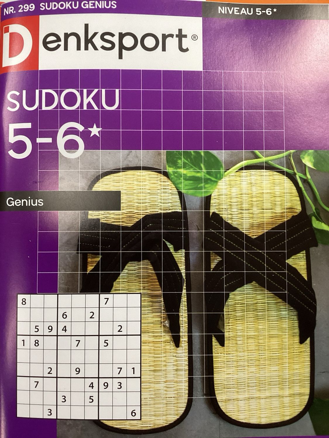DS SUDOKU GENIUS #299