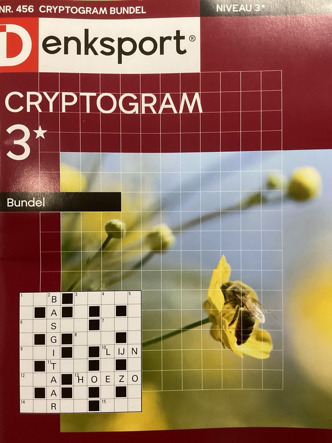 DS CRYPTOGRAMMENBUNDEL #456