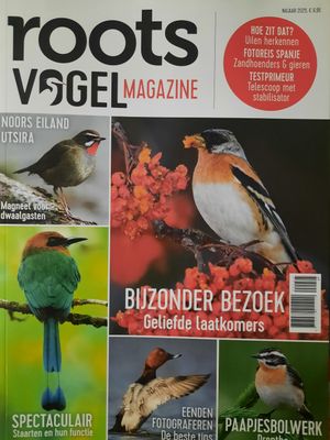 ROOTS VOGELMAGAZINE #2/25