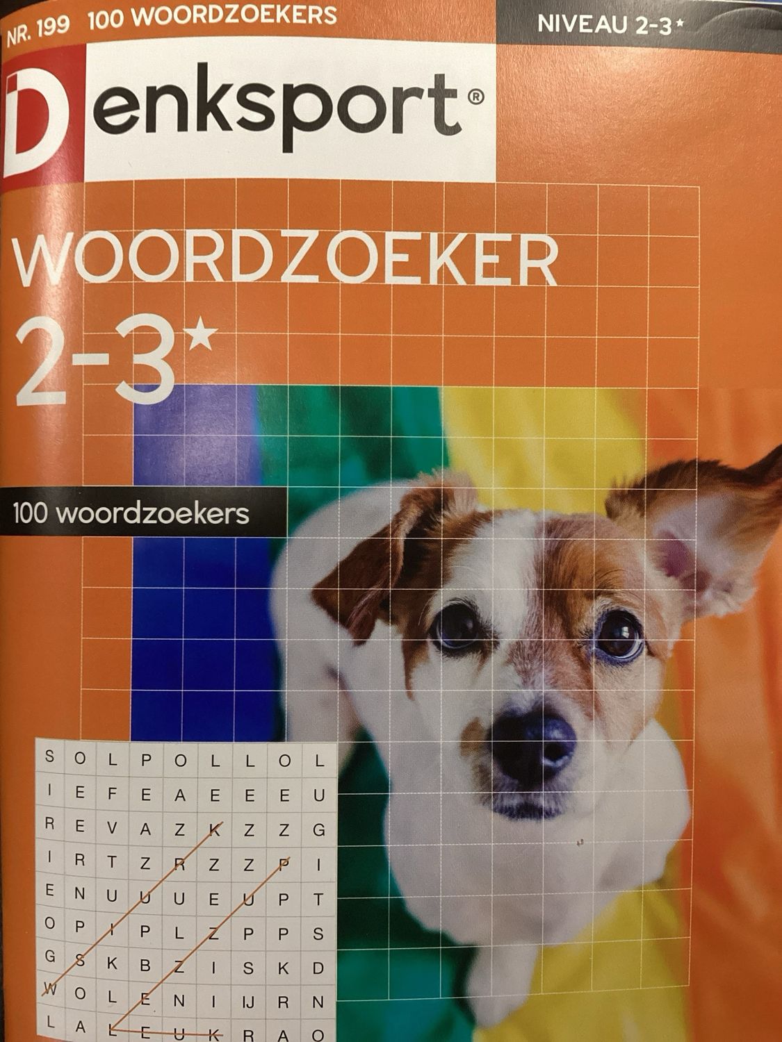 DS 100 WOORDZOEKERS #199