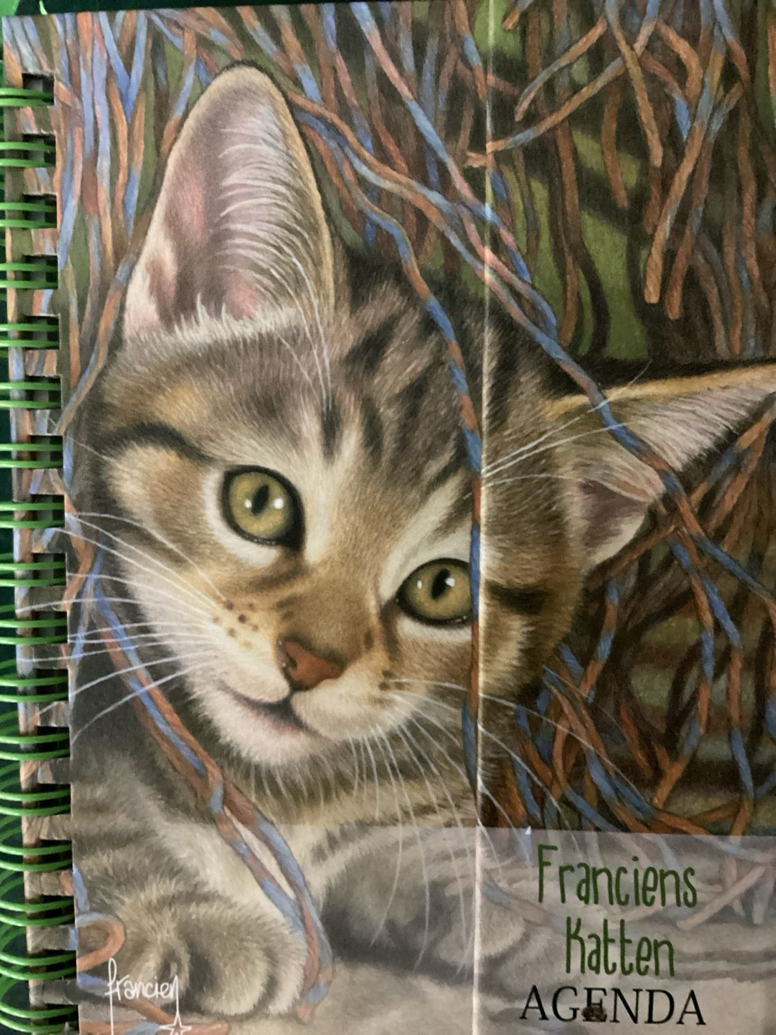 FRANCIENS KATTEN SPIRAALA #2026