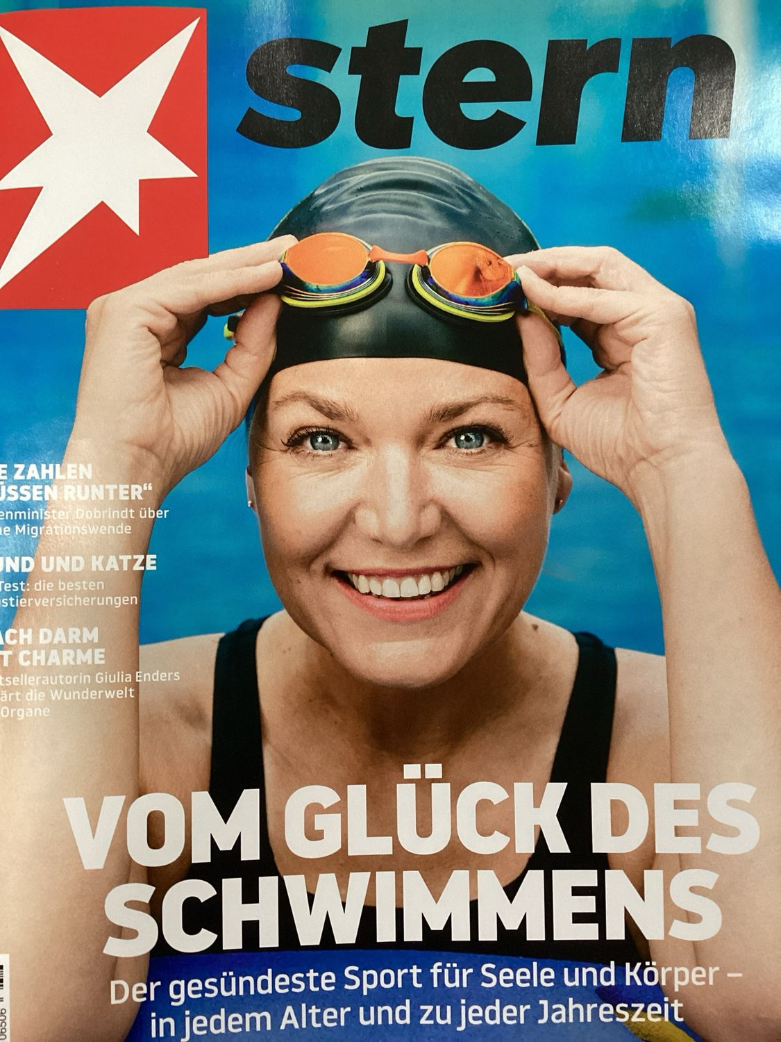 STERN #25036