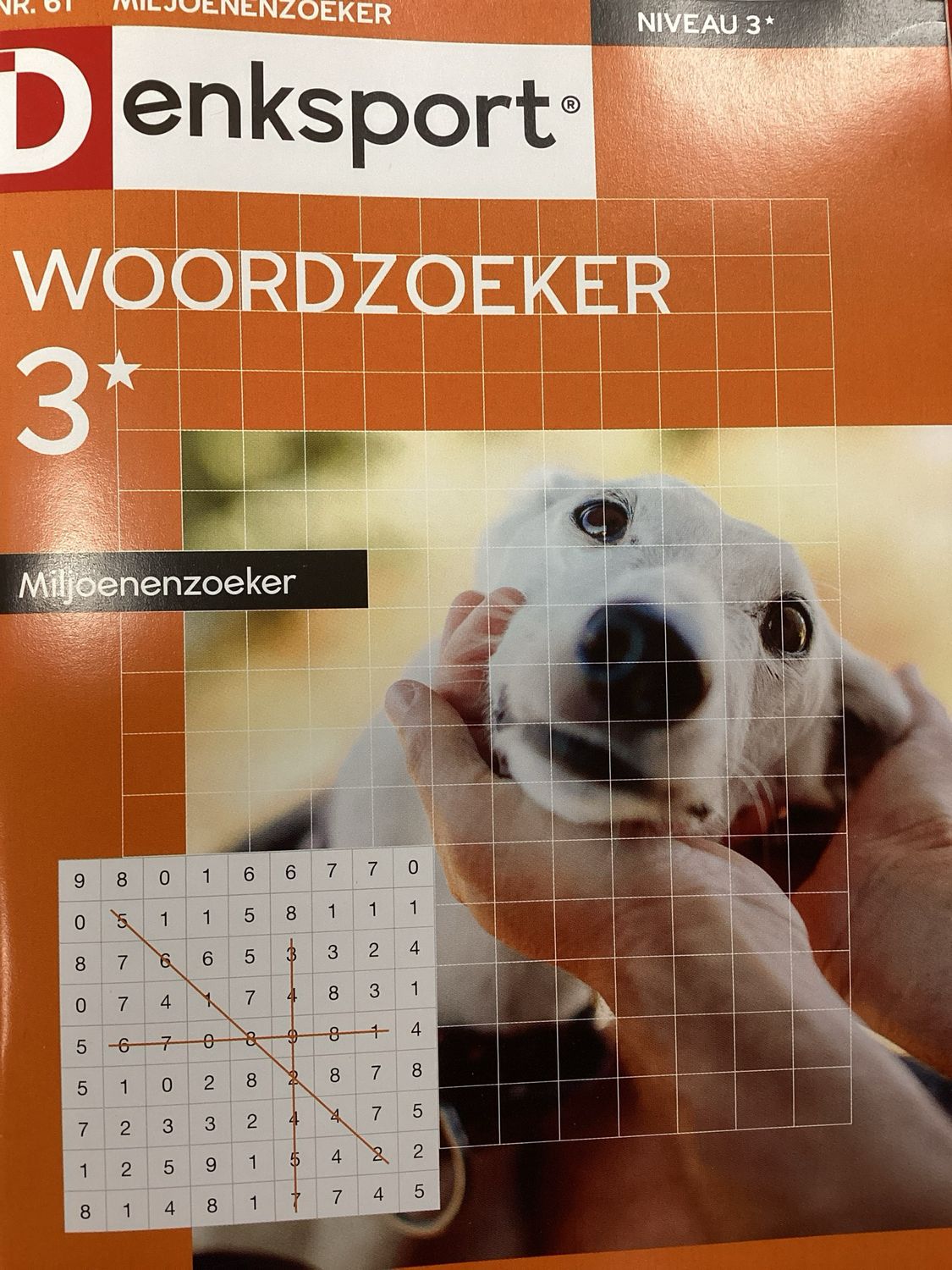 DS WOORDZOEKER MILJOEN #61