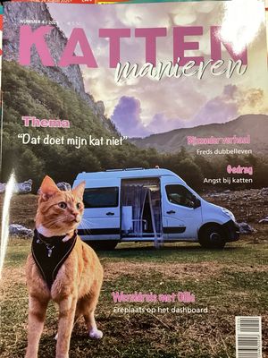 KATTENMANIEREN #4