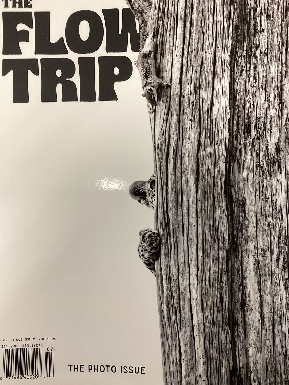THE FLOW TRIP US #25007