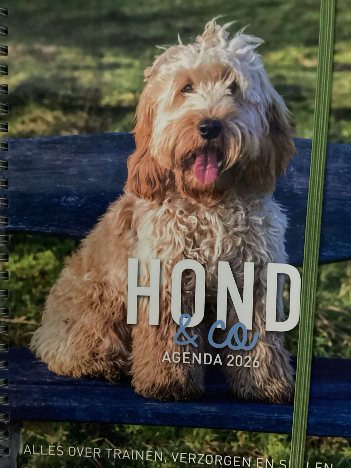 HOND &amp; CO AGENDA #2026