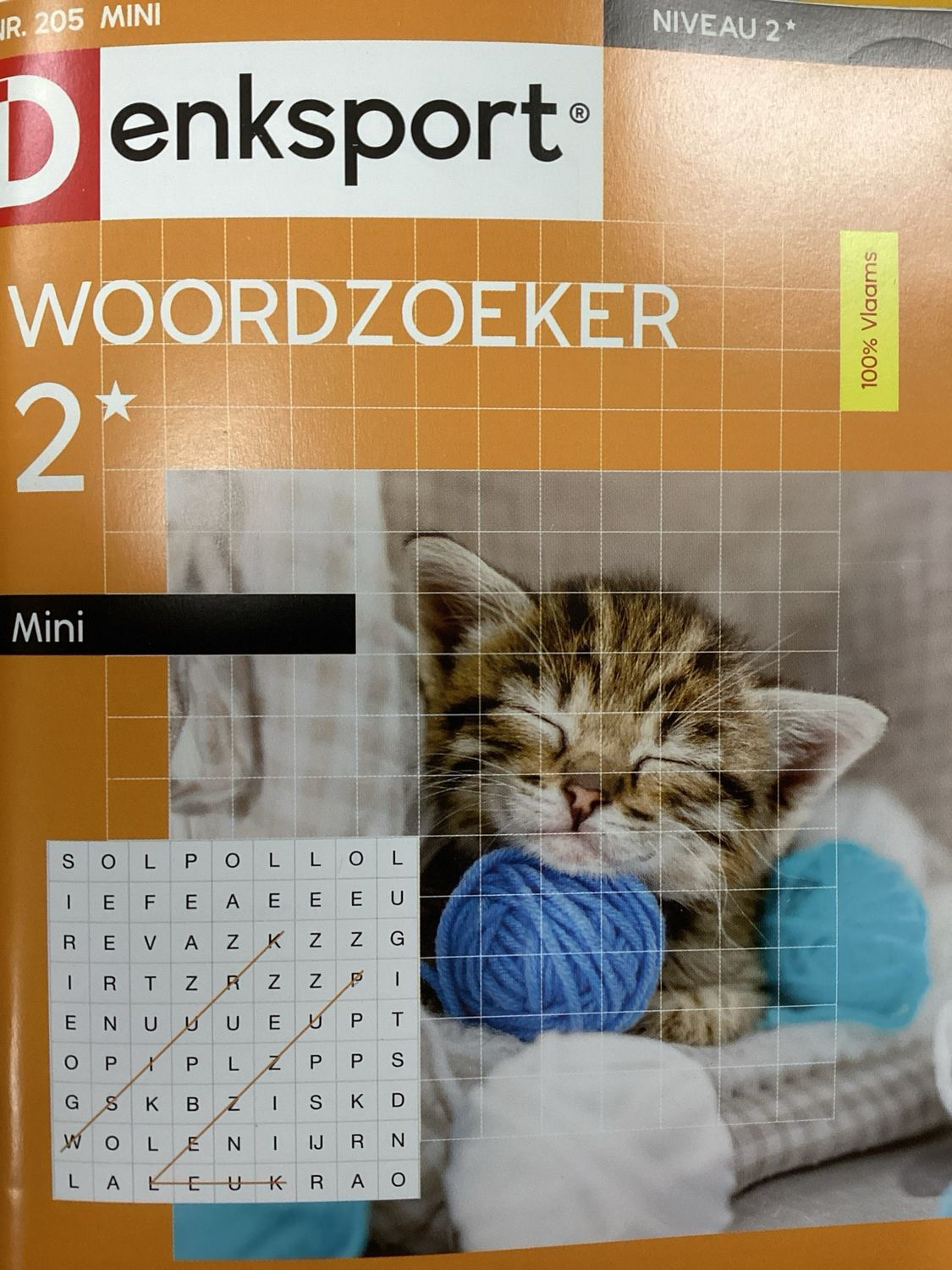 DS WOORDZOEKER MINI #205