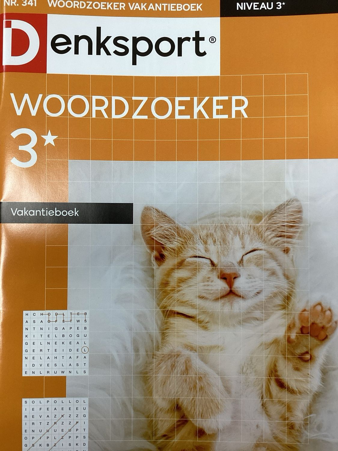 DS WOORDZOEKER VAKANTIEBO #341