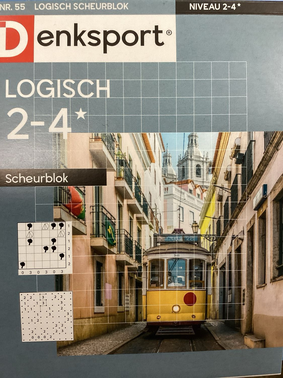 DS LOGISCH SCHEURBLOK #55