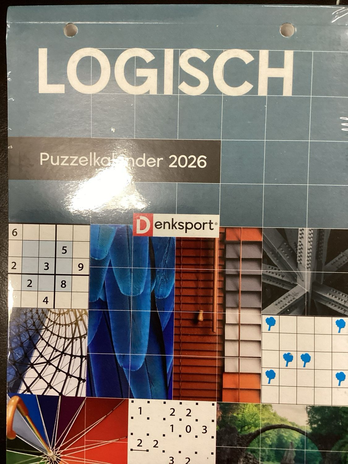 DS LOGISCHE PUZZELS SCHEU #2026