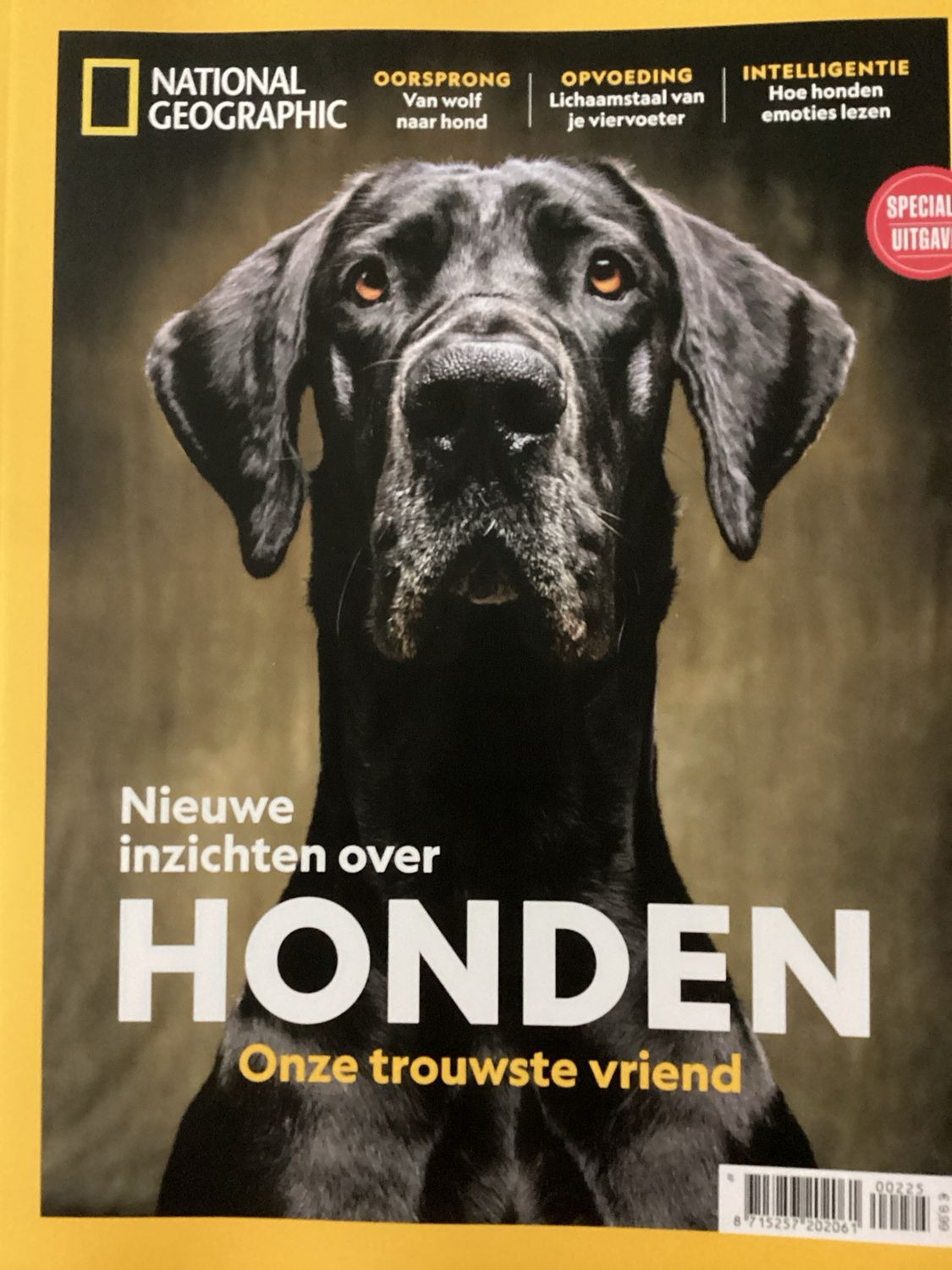 NATIONAL GEOGR SP HONDEN #2