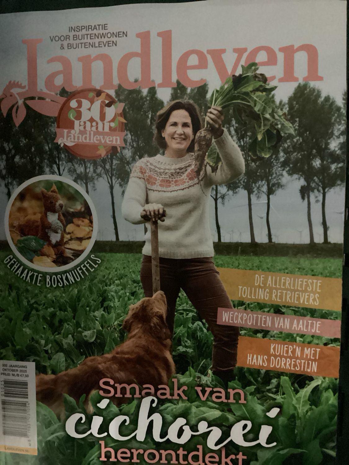 LANDLEVEN #10