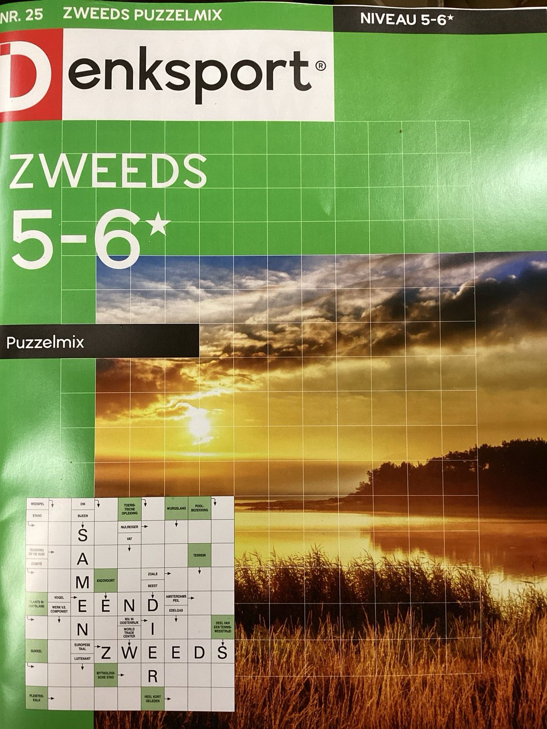 DS ZWEEDS 5-6 PUZZELMIX #25