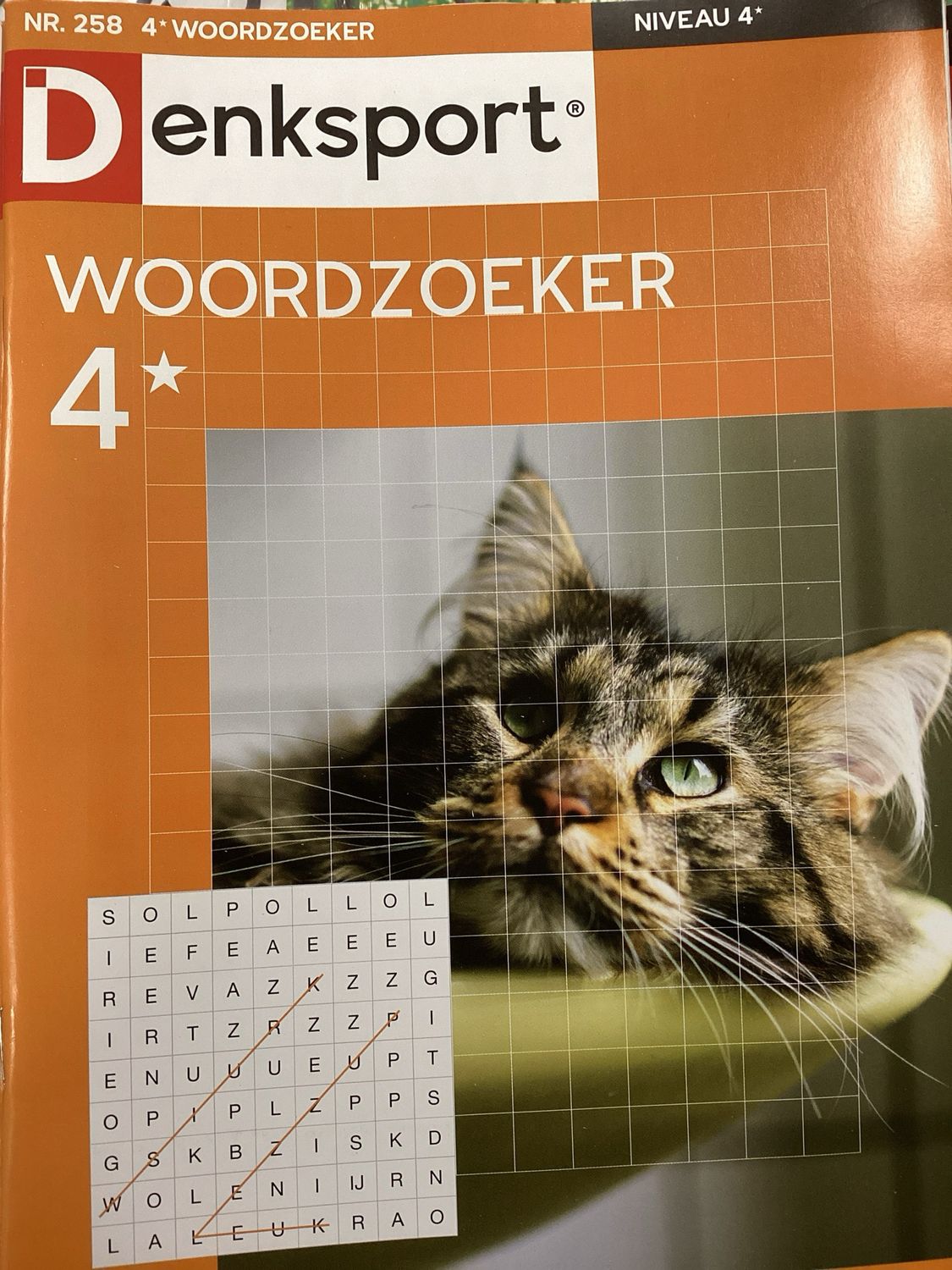 DS 4* WOORDZOEKERS #258