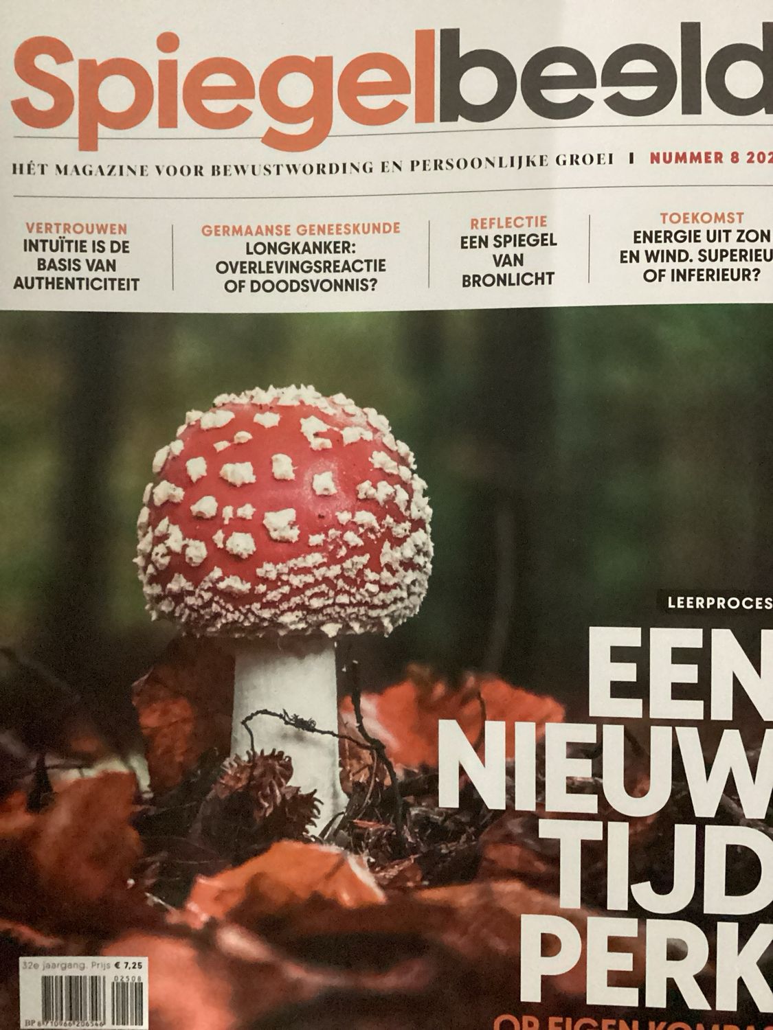 SPIEGELBEELD #2508