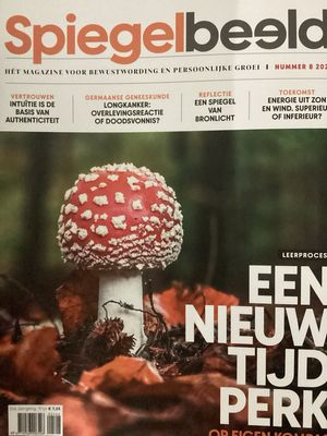 SPIEGELBEELD #2508