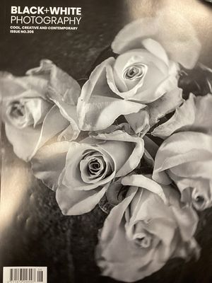 BLACK &amp; WHITE PHOTOGRAPHY #306