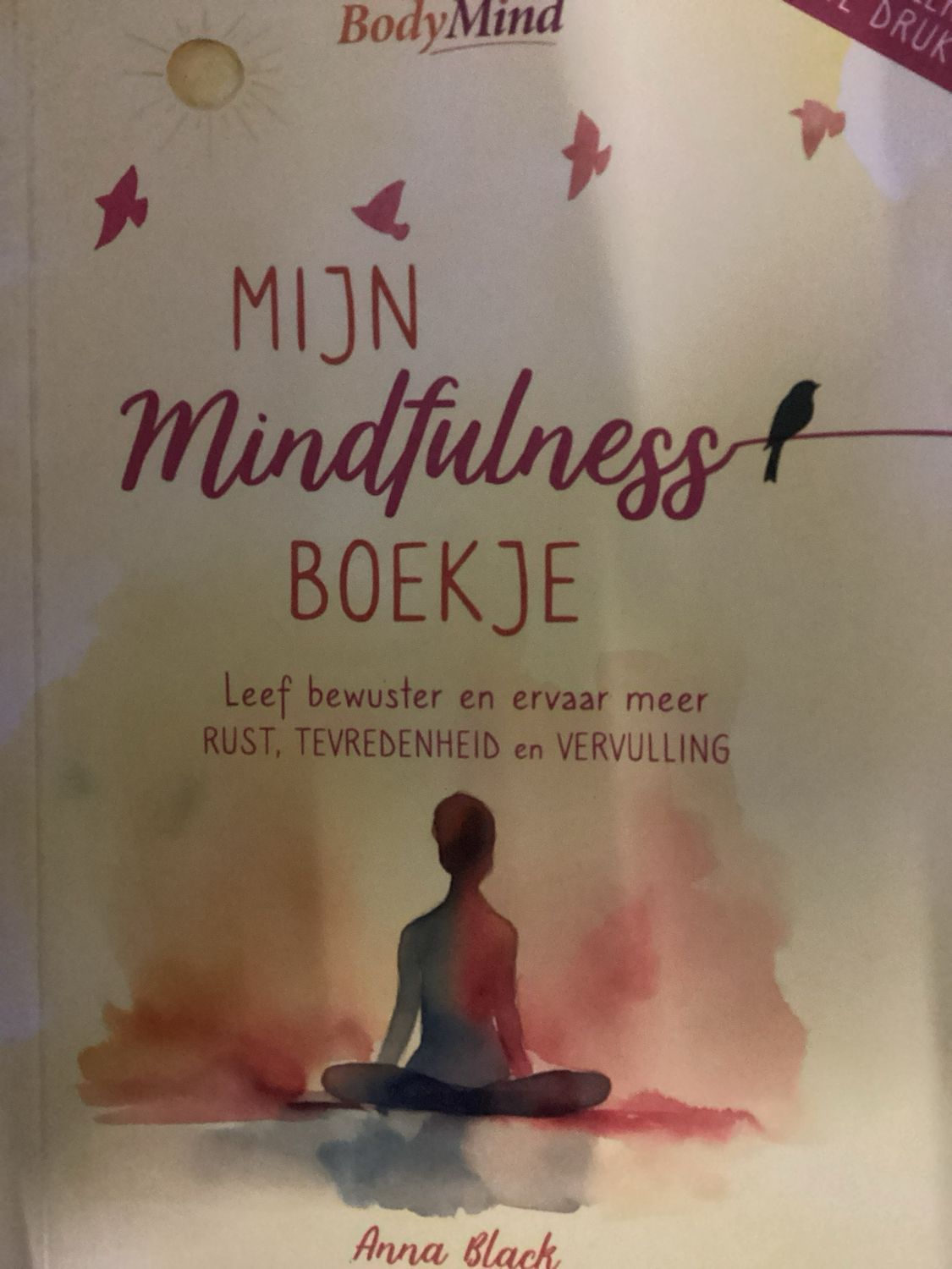 BODYMIND SP MIJN MINDFULN #3/25