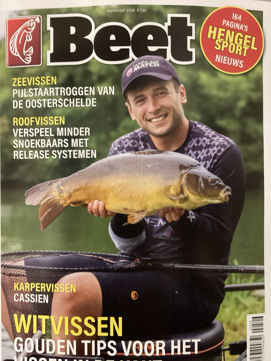 BEET #6