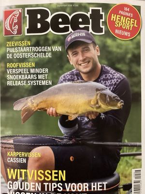 BEET #6