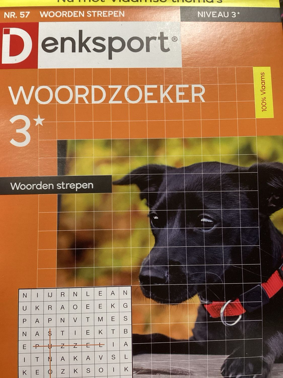 DS WOORDEN STREPEN #57