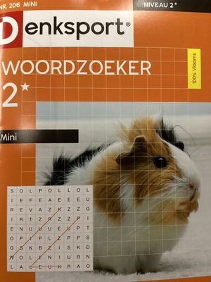 DS WOORDZOEKER MINI #206