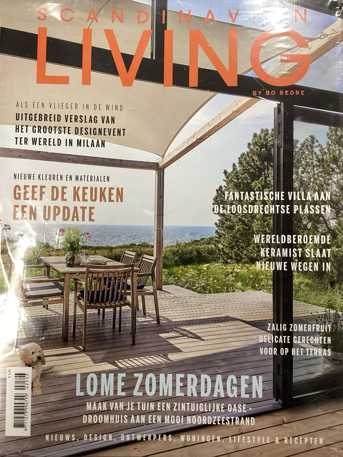 SCANDINAVIAN LIVING #3