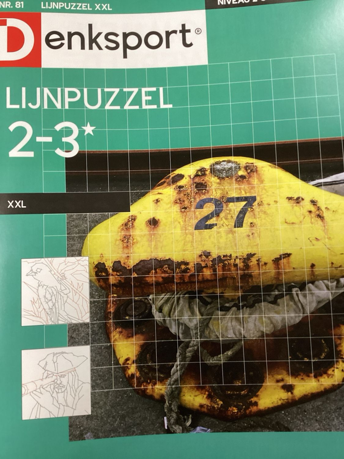 DS LIJNPUZZELS XXL #81