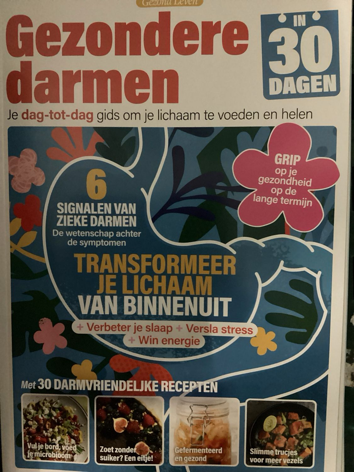 GEZOND LEVEN GEZONDE DARM #4