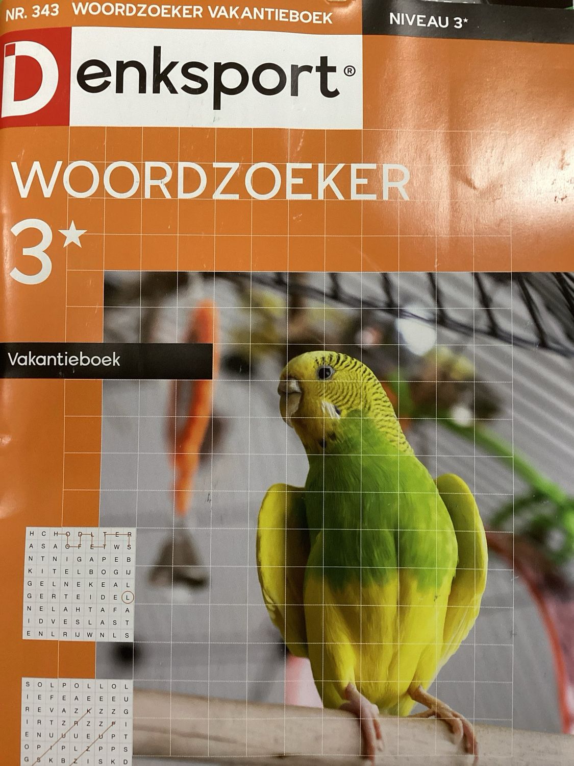 DS WOORDZOEKER VAKANTIEBO #343