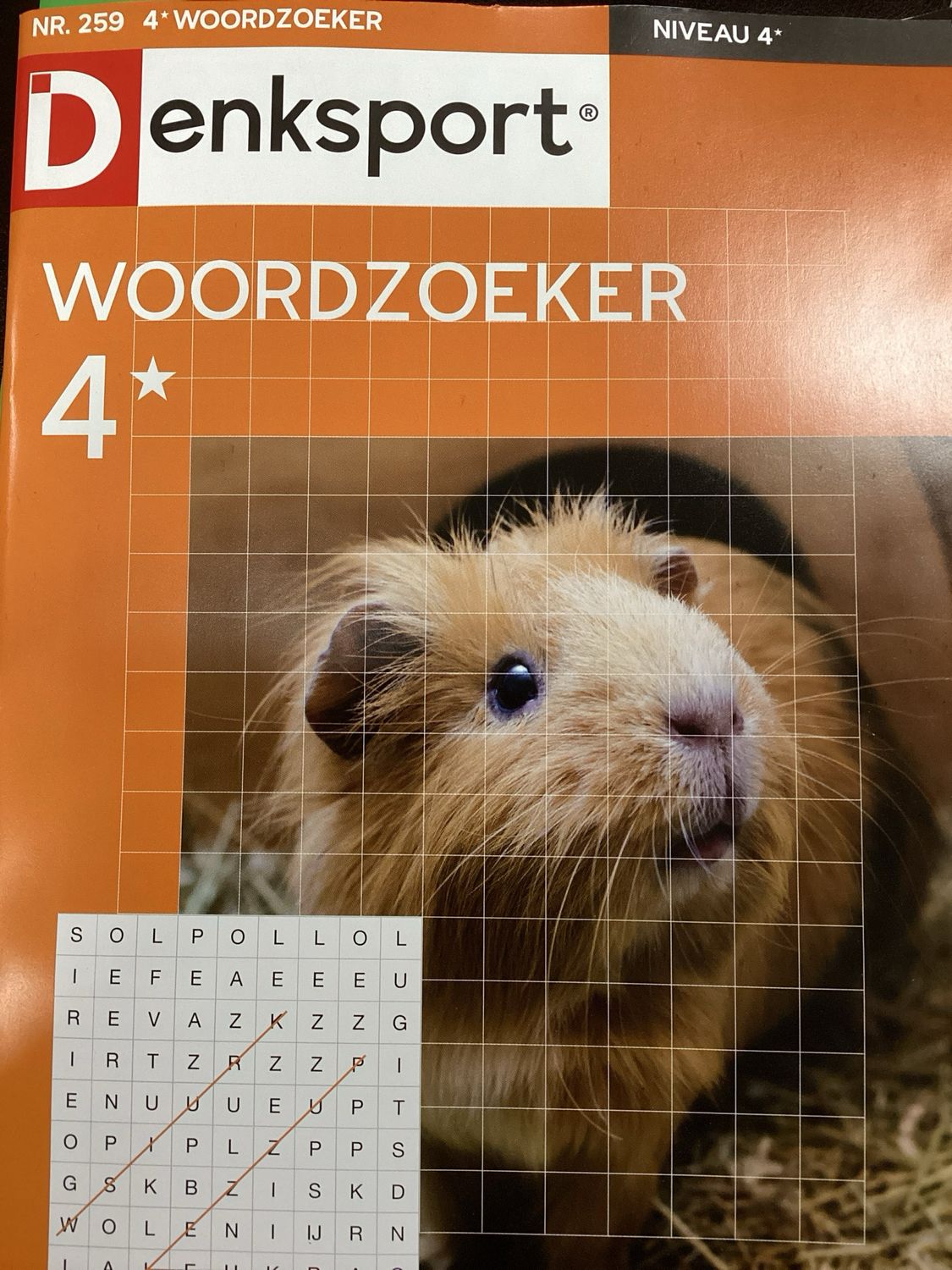 DS 4* WOORDZOEKERS #259