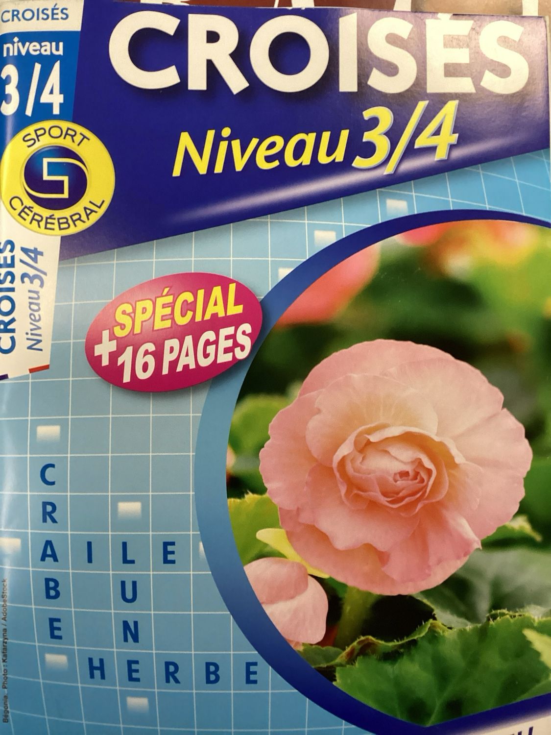 SC CROISES NIV 3/4 #128