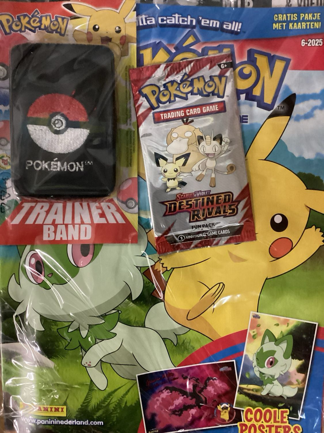 POKEMON MAG #6