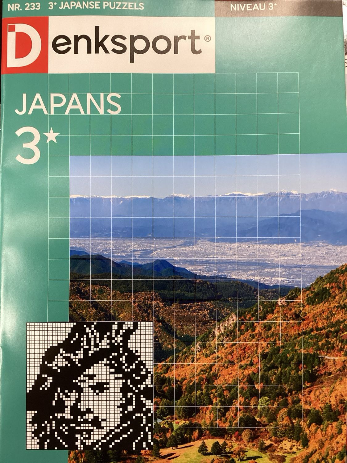 DS JAPANSE PUZZELS #233