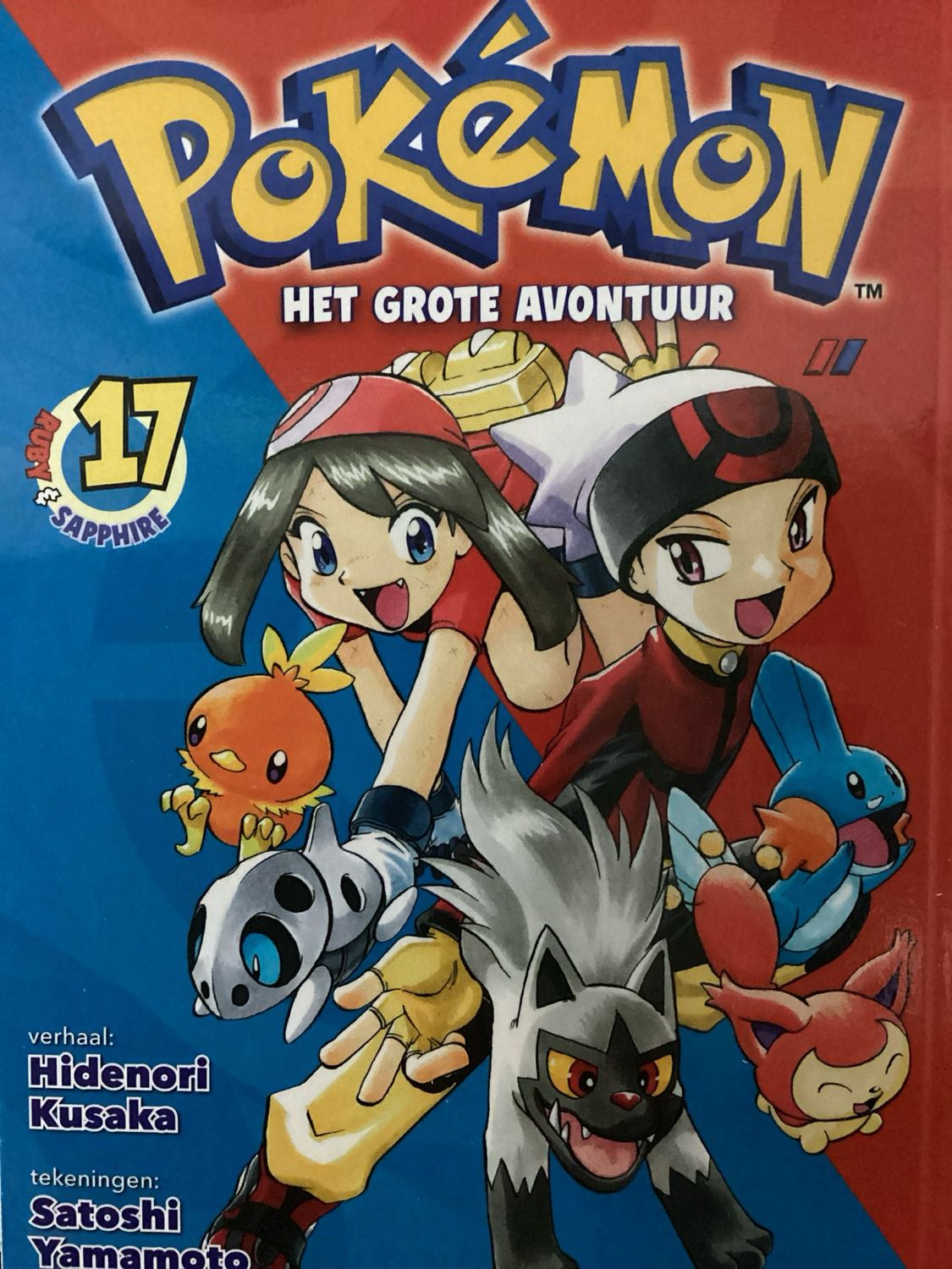 POKEMON MANGA NL #17