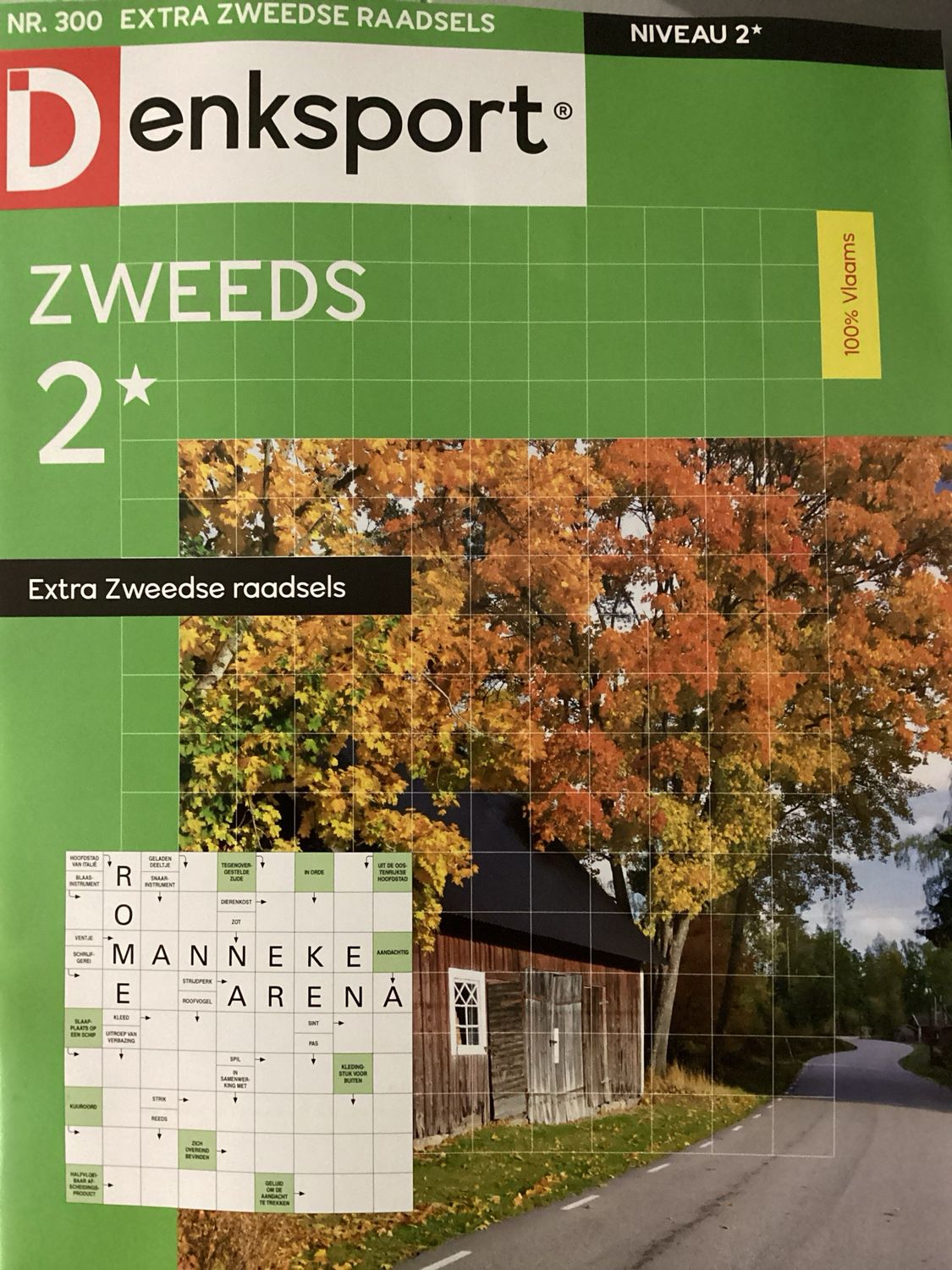 DS EXTRA ZWEEDSE RAADSELS #300