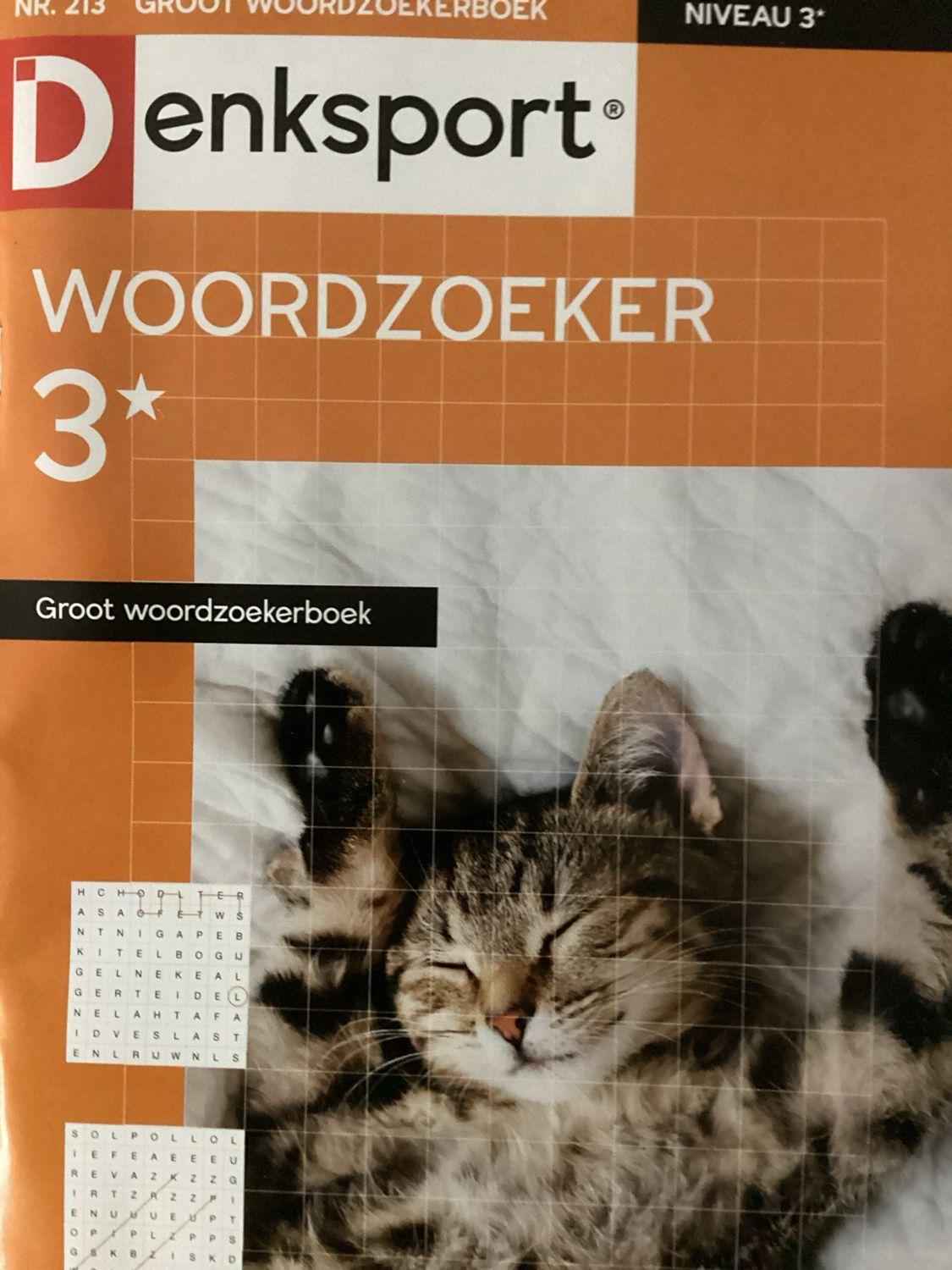 DS GROOT WOORDZOEKERBOEK #213