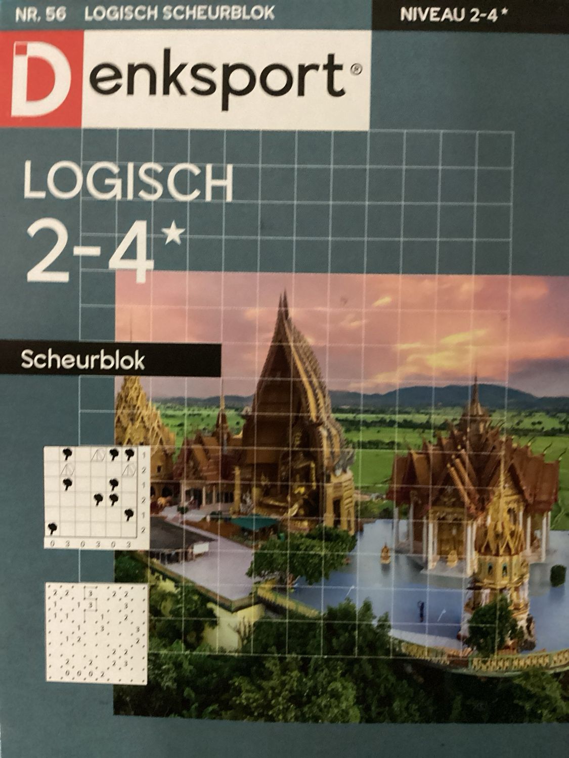 DS LOGISCH SCHEURBLOK #56