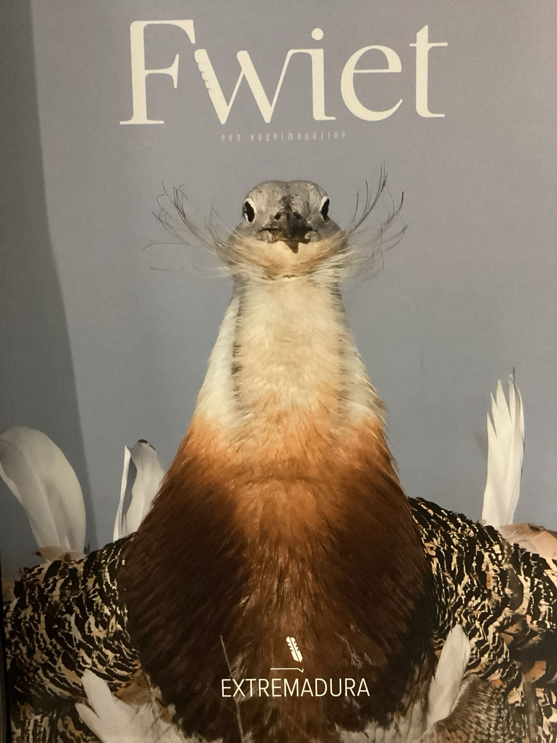 FWIET! EXTREMADURA #10