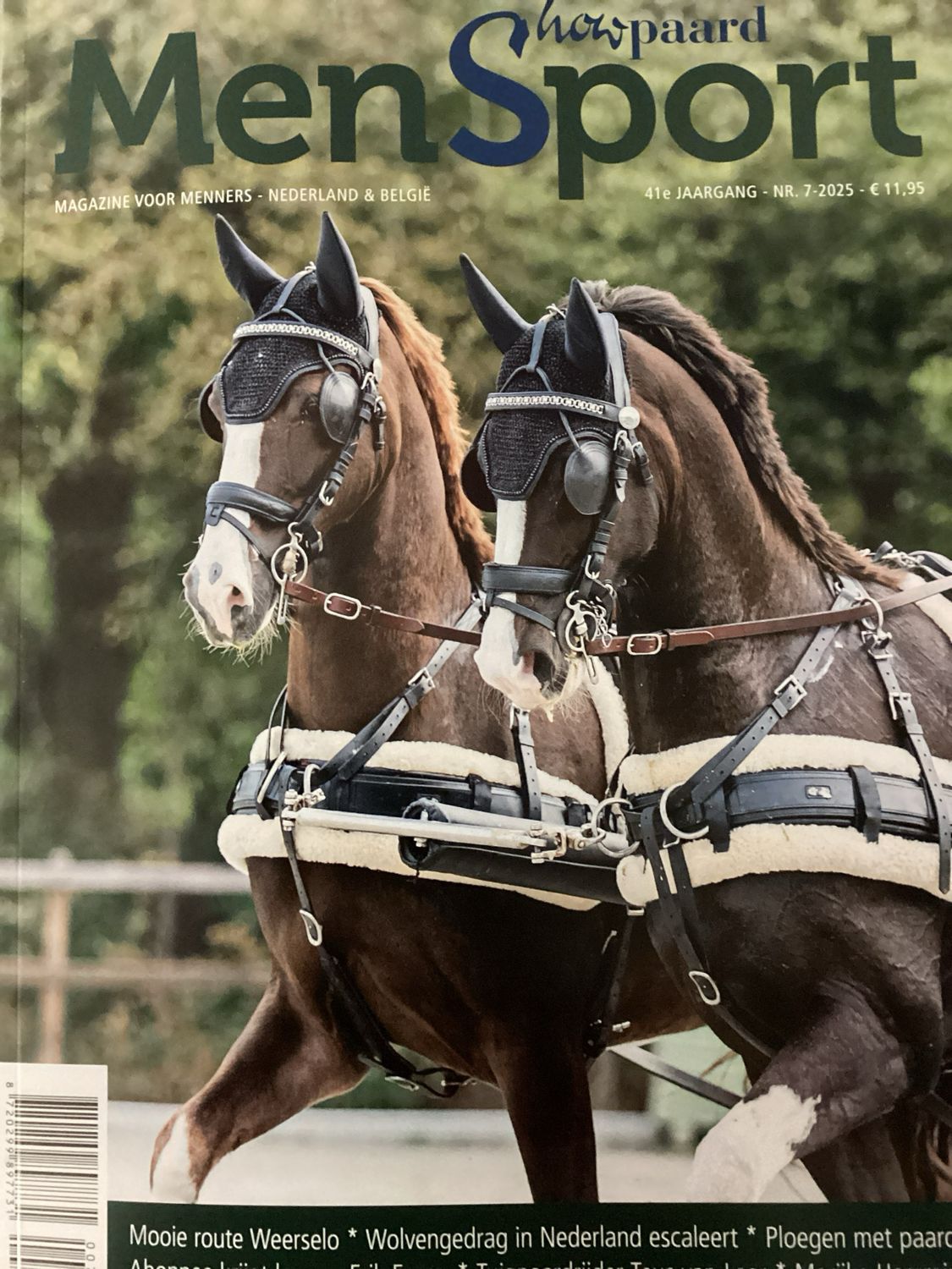 MENSPORT #7