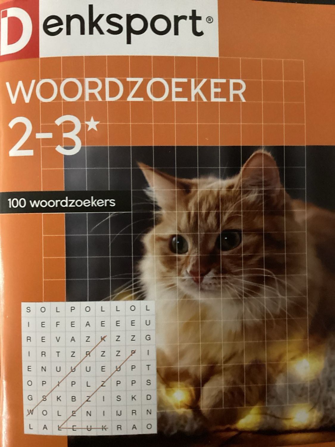 DS 100 WOORDZOEKERS #202