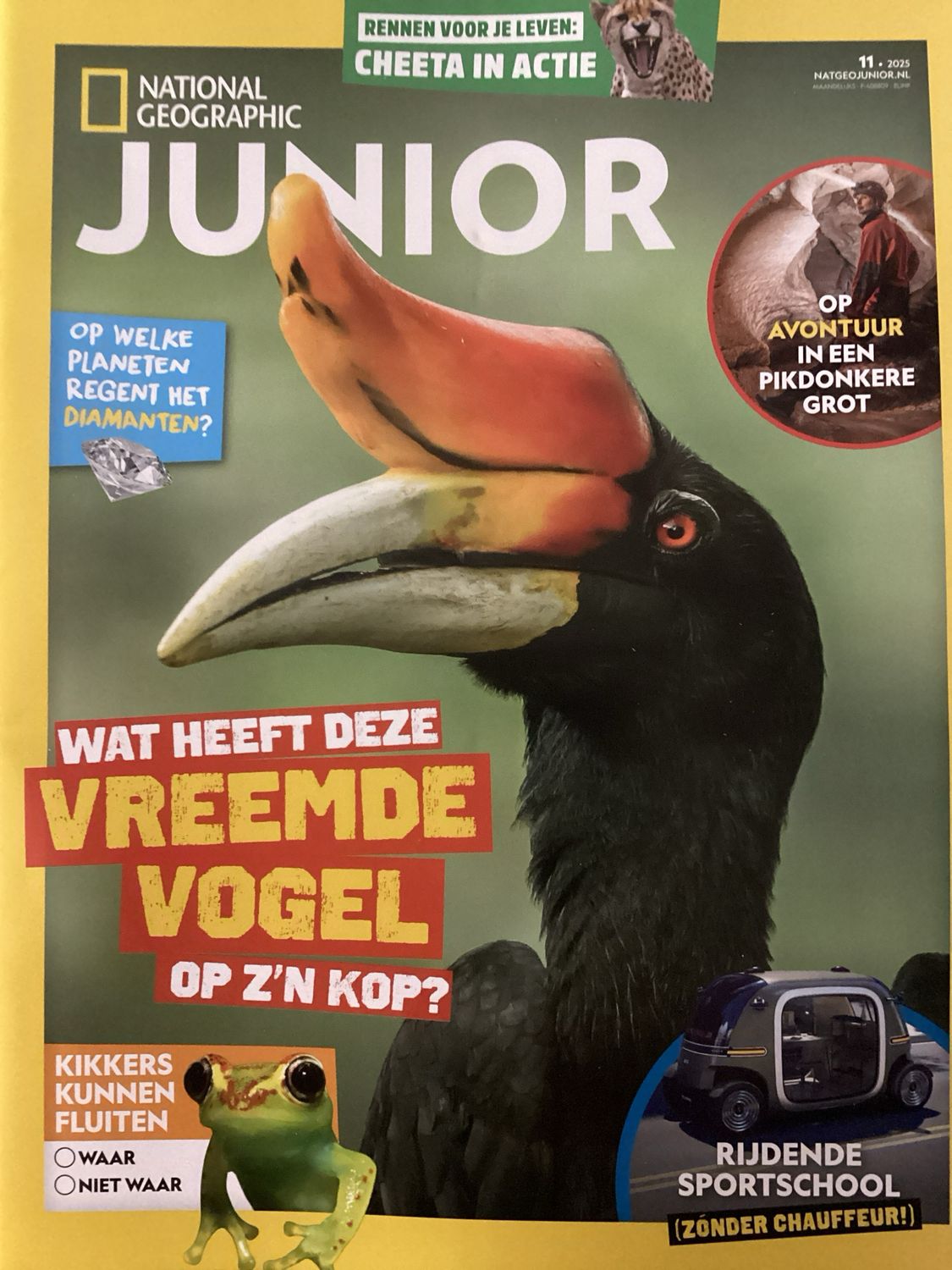 NATIONAL GEOGRAPHIC JUNIO #11