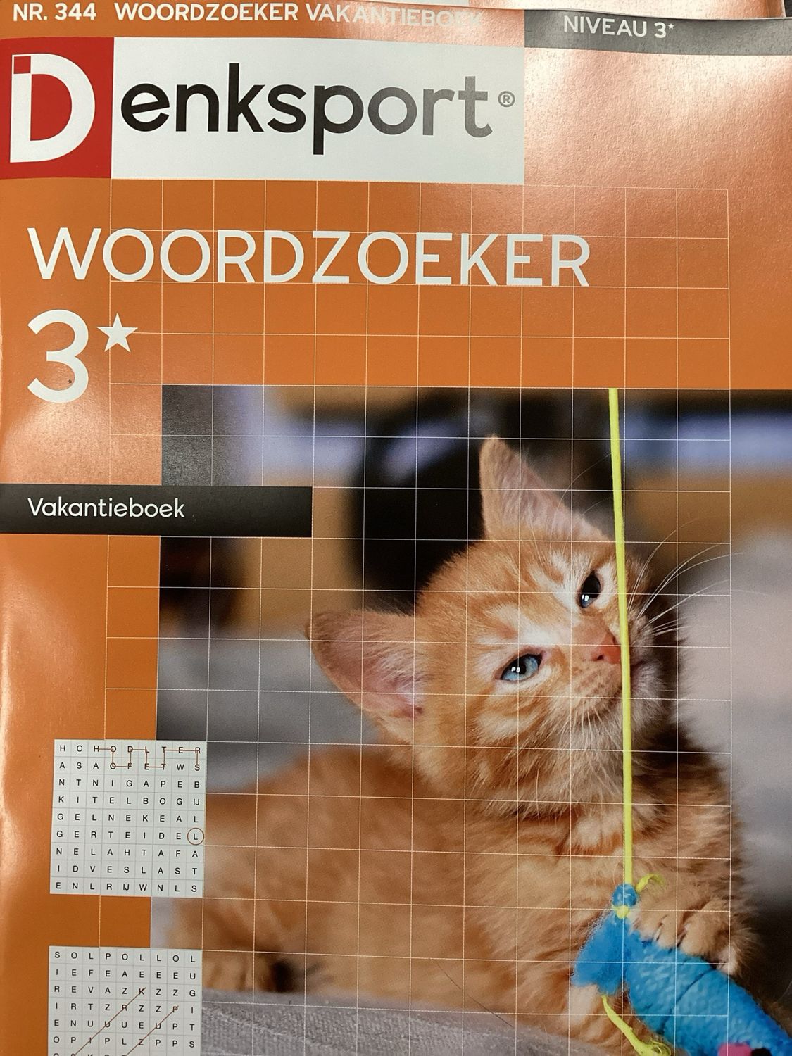 DS WOORDZOEKER VAKANTIEBO #344