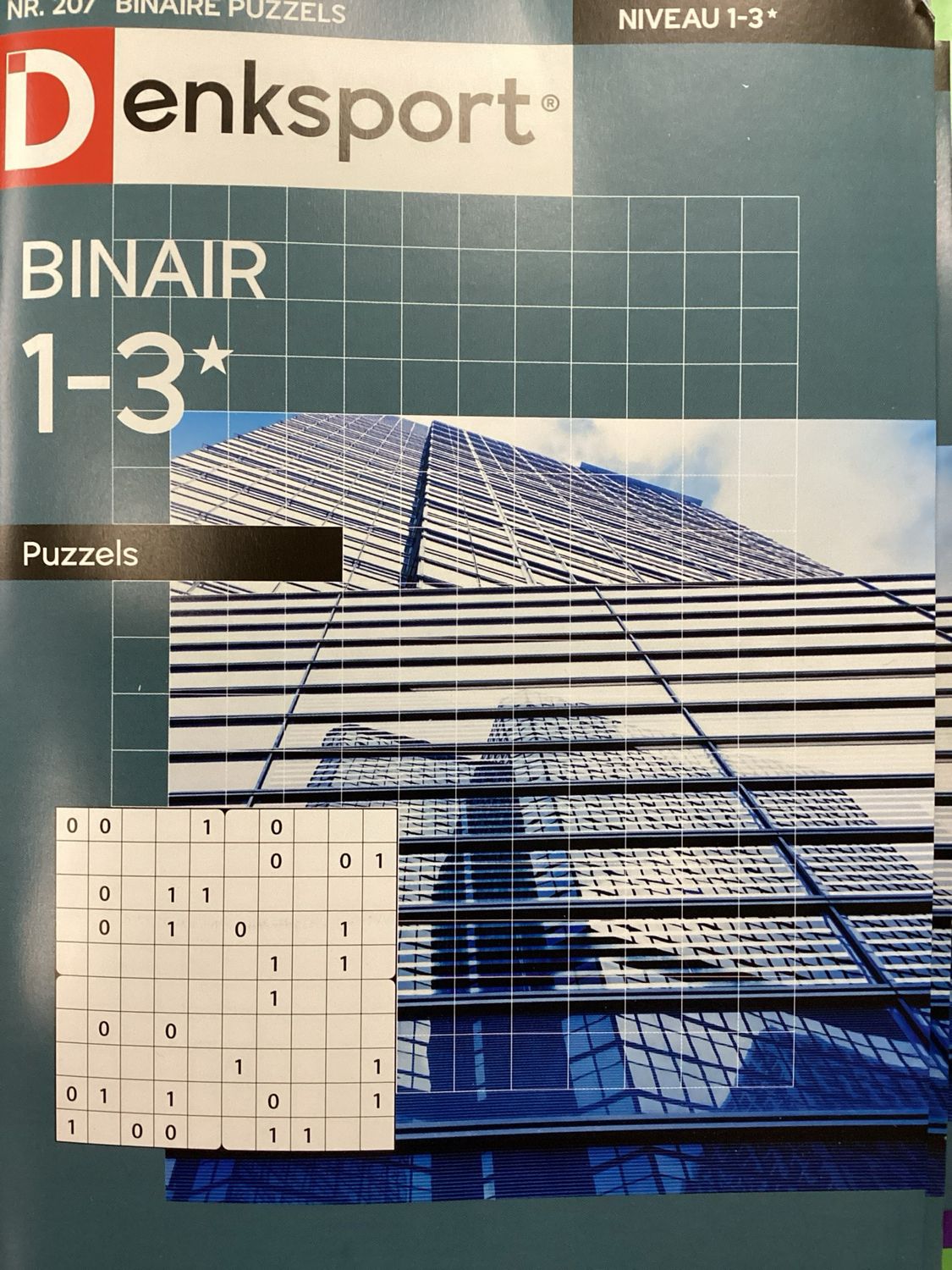 DS BINAIRE PUZZELS #207